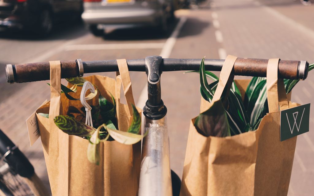 Why We Should Use Reusable Bags and How To Actually Do It National Pen