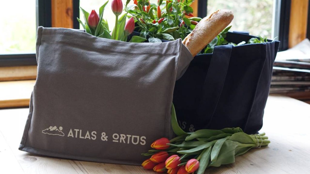 The 8 Best Eco-Friendly Reusable Grocery Bags