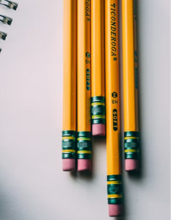 Ticonderoga Mes Premiers Crayons En Bois, France